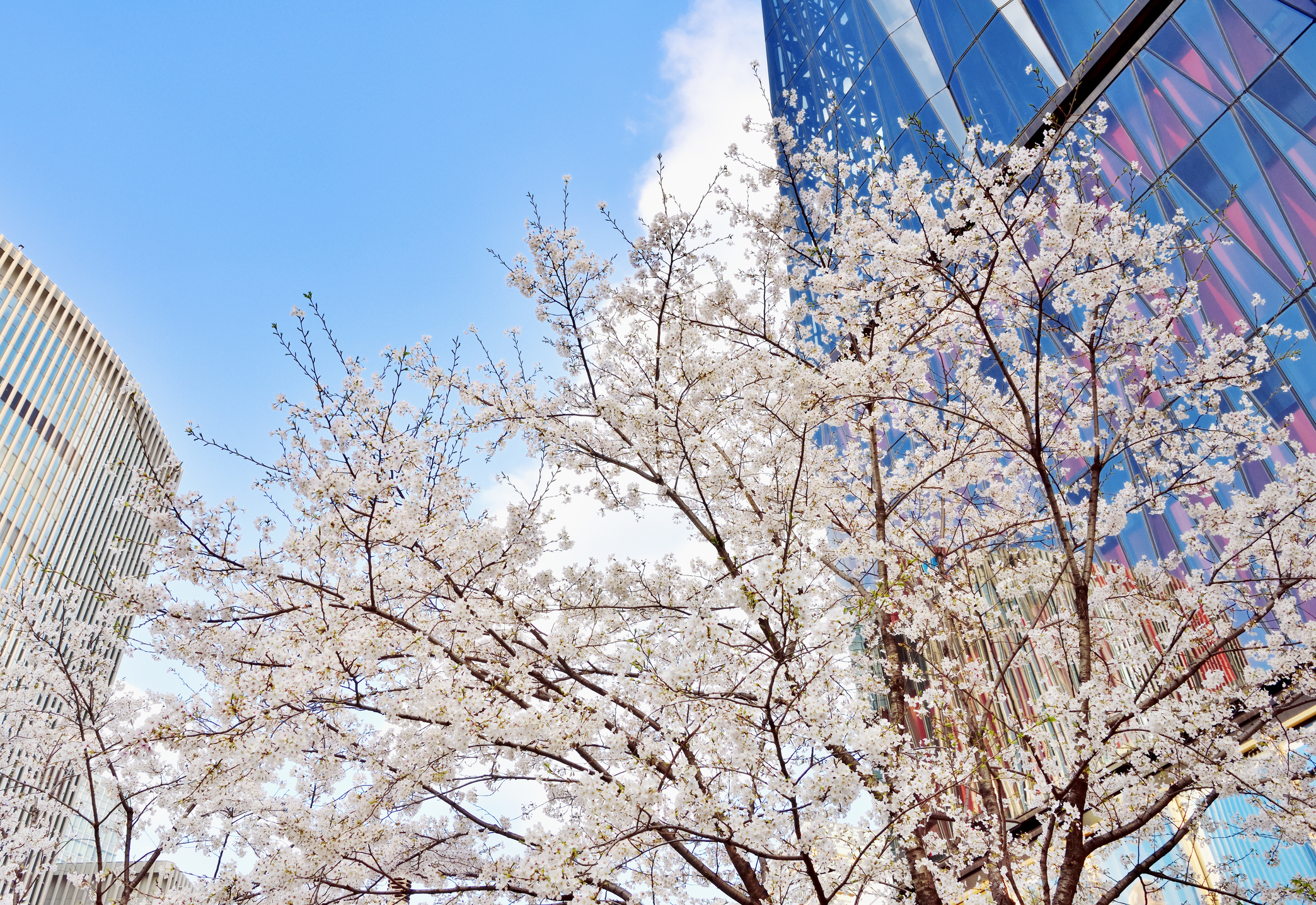 Once-in-a-Lifetime Encounters